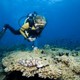 Aica Diving Aica Ltda