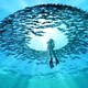 Dive World West