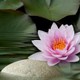 Manisha Multitherapy Holistics Health Care & Training Center