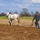 The Gardener Landscape Maintenance & Snow Removal Inc. North York