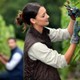 Top Austin Tree Service