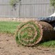 Just Turf