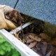 Pros-Renovation
