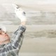 Pacific Plastering logo